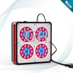 China Apollp LED grow lights 130W supplier