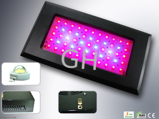 China LED Grow lights for hydroponics and greenhouse 120W supplier