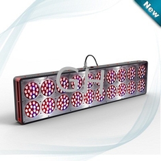 China 700W Apollo LED Grow lights  300×3W LEDs with lens supplier