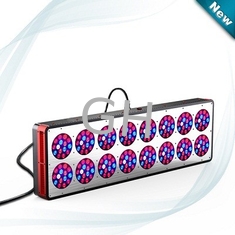 China Greenhouse LED Grow Lamp lights for Indoor grow 550W supplier