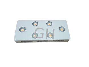 China Hight PAR Integrated 900W COB / CXB LED Grow Light with Full Spectrum for Hydroponic Indoor Growth supplier