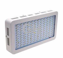 China 1200W Double Chips LED Grow Light Full Spectrum For Inddor Plants and Greenhouse Hydroponic Flowering and Growing supplier