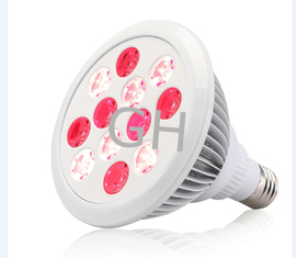China Led Light 24W Red 660nm and Near Infrared 850nm LED Therapy Light Bulbs for Skin and Pain Relief supplier