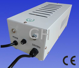 China Top Quality CE Approved EURO 600W Grow Lamp Ballast HID Magnetic Ballast For HPS supplier