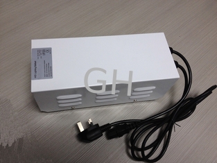 China 250W HPS / MH Bulb HID Switchable Magnetic Ballast for Plant Grow Lights Indoor supplier