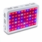 Double Chips 600W LED Grow Light 380-730nm Full Spectrum LED Plant Grow Light For Inddor Plants Flowering and Growing supplier