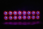 500W Hydroponic Apollo LED Plant Grow Lights with 240pcs Beads for Indoor Growth supplier
