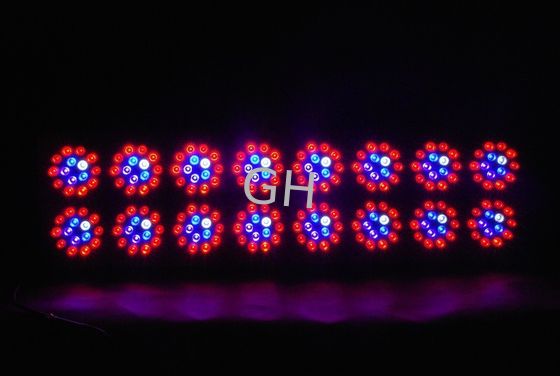 500W Hydroponic Apollo LED Plant Grow Lights with 240pcs Beads for Indoor Growth supplier